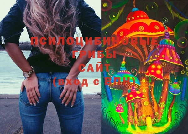 хмурый Бронницы