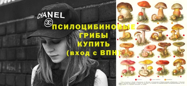 apvp Бугульма